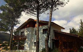 Il Giardino Di Leoca Bed And Breakfast